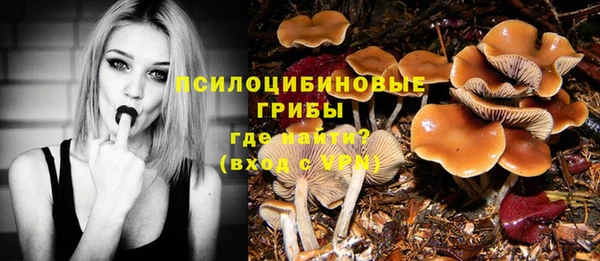 прущие крисы Абинск