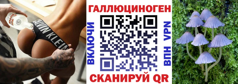 наркотики  Фокино  Псилоцибиновые грибы Psilocybine cubensis 